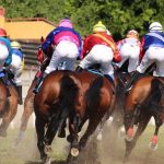 競馬の魅力とは面白さのポイント